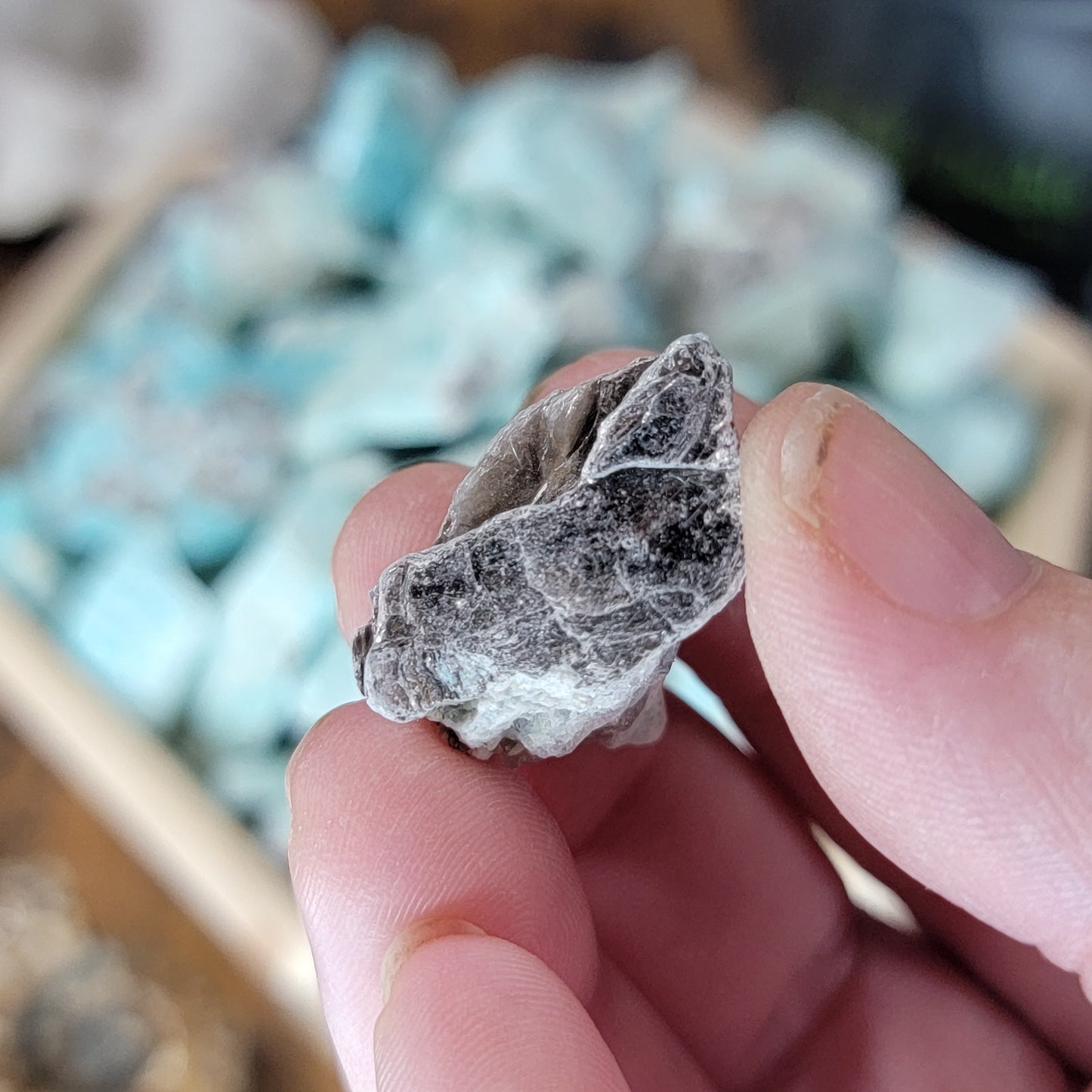 Raw Amazonite