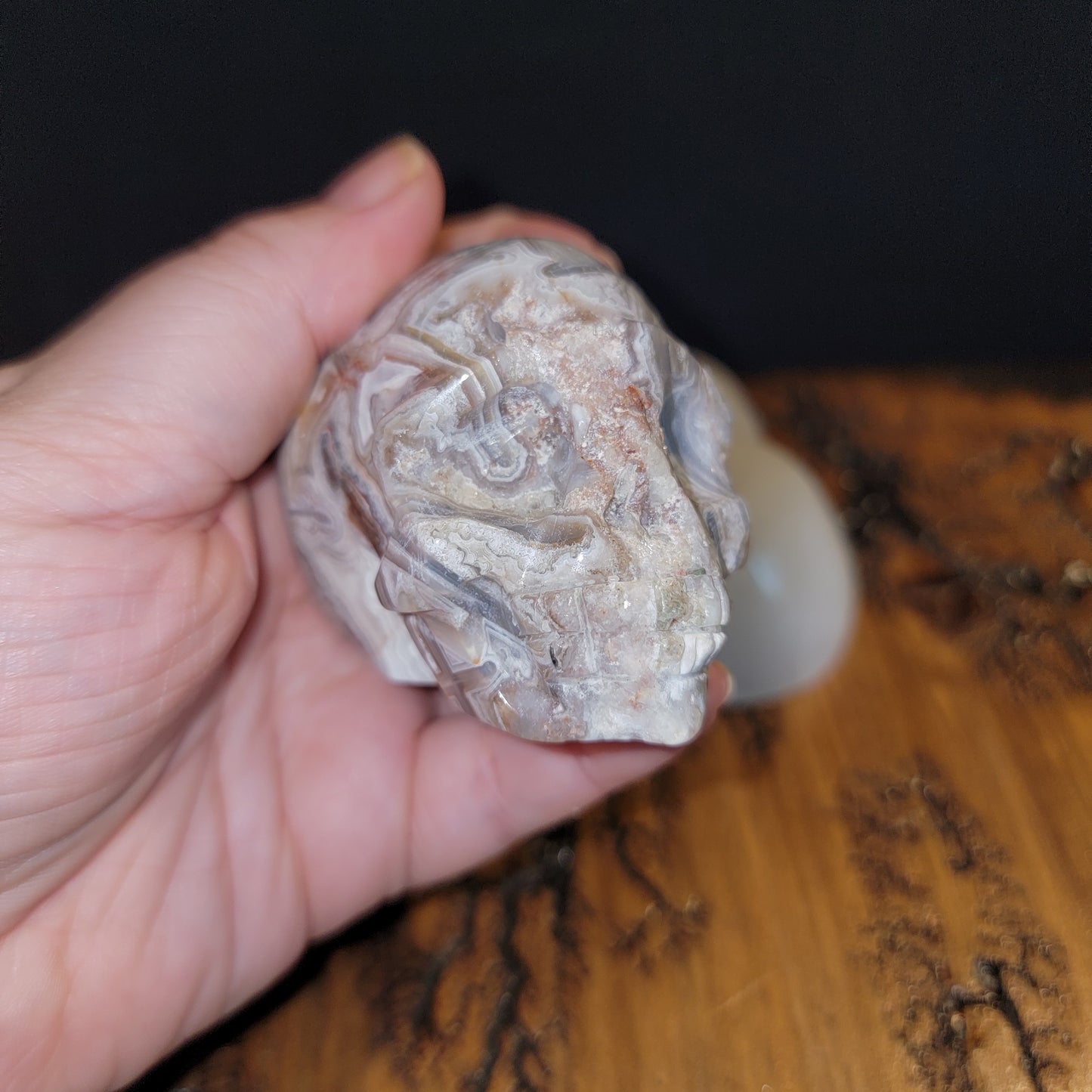 Mexican Crazy Lace Agate Skull
