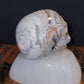 Mexican Crazy Lace Agate Skull