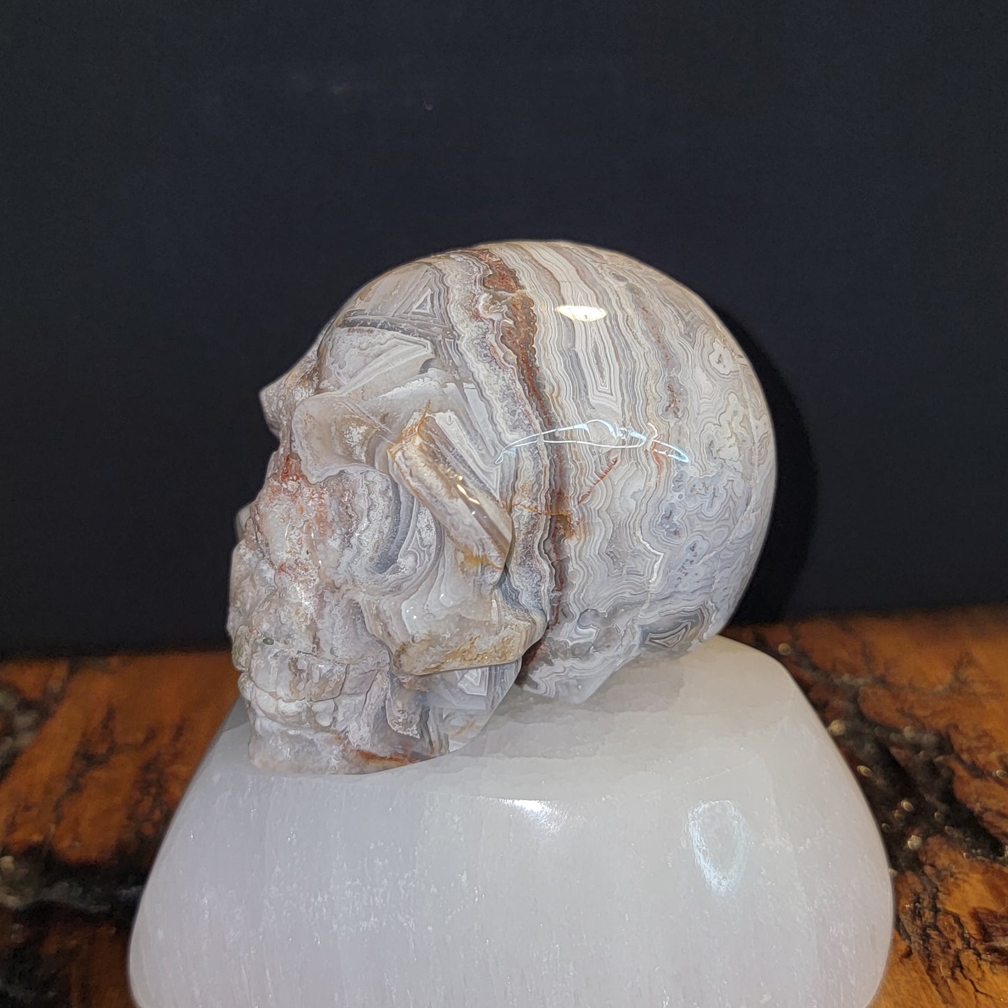 Mexican Crazy Lace Agate Skull