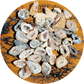Oco Geode Halves: Druzy Crystal Mini Geodes